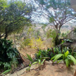 Casa à venda com 4 suítes em Geribá, Armação dos Búzios, RJ
