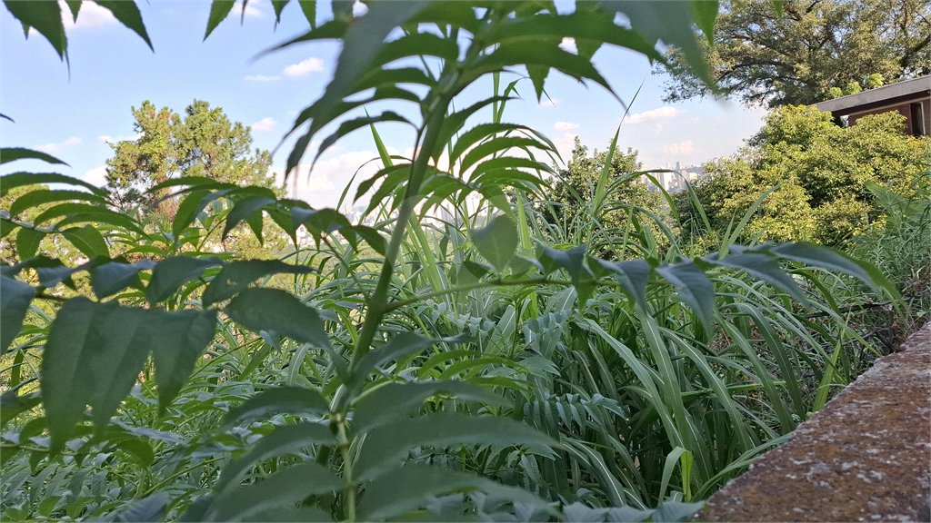 Terreno à venda em Jardim São Bento, São Paulo, SP