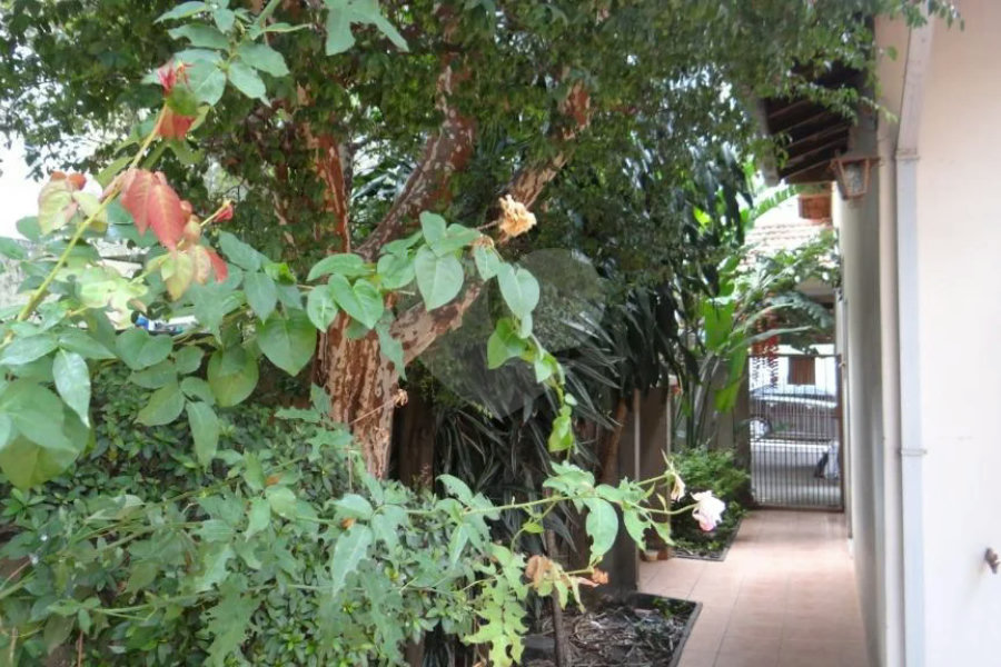 Casa Térrea à venda com 3 quartos em Pinheiros, São Paulo, SP
