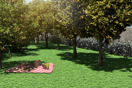 Paradise Gardens