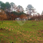 Fazenda à venda com 2 quartos em City Castello, Itu, SP