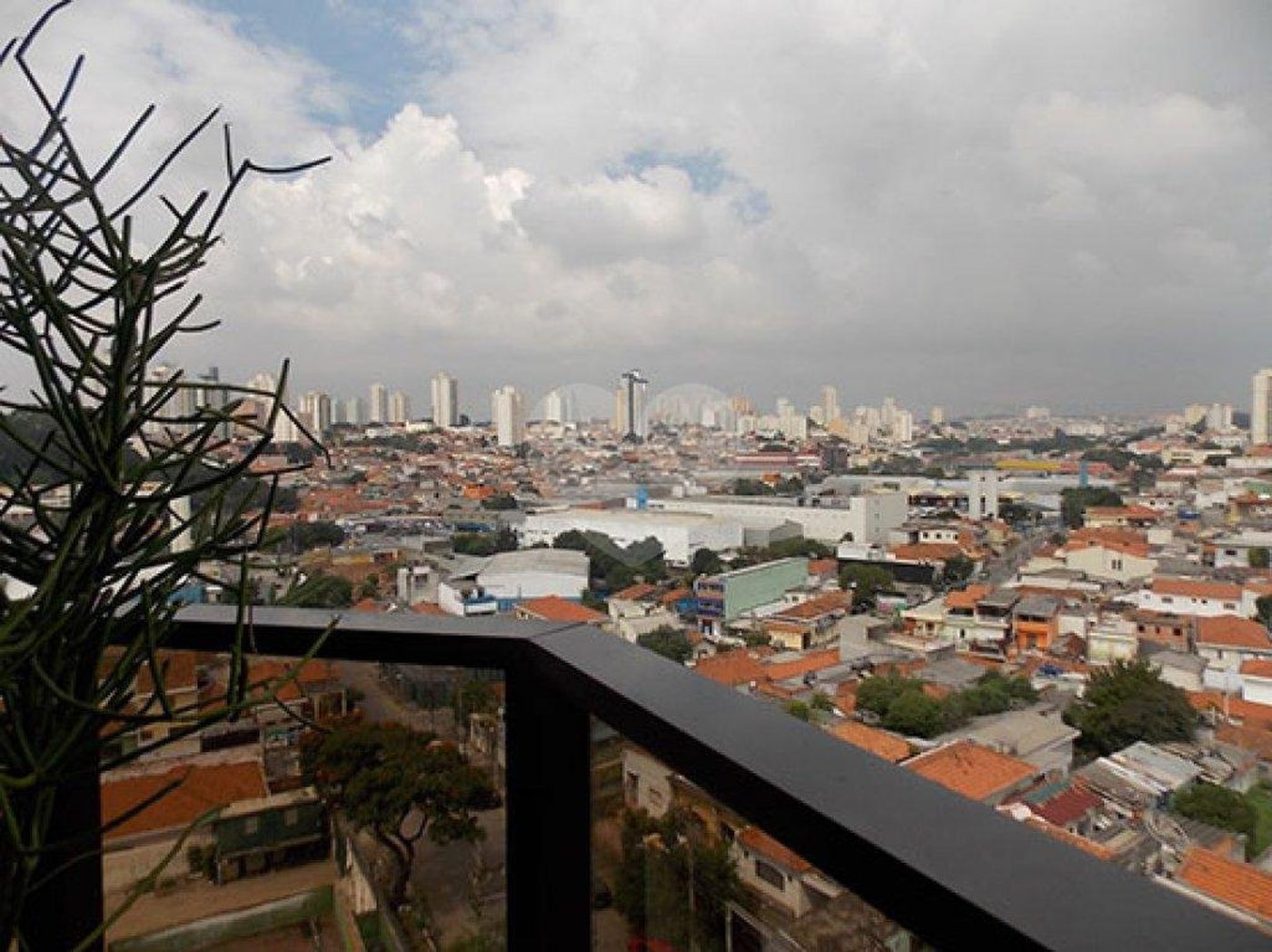 Apartamento à venda com 3 quartos, sendo 1 suíte, em Vila Nair, São Paulo, SP