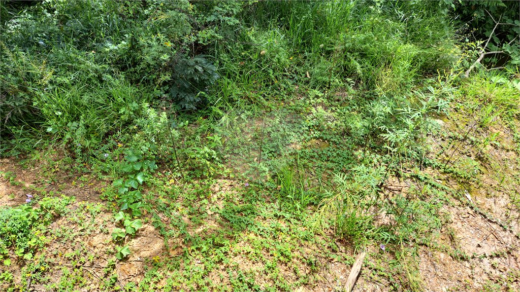 Terreno à venda em Rio Acima, Mairiporã, SP