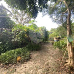 Chácara à venda com 3 quartos, sendo 1 suíte, em João Jabour, Salto, SP