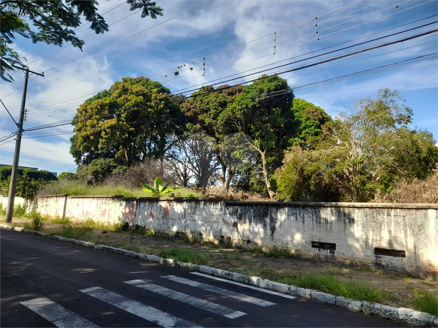 Terreno Comercial à Venda na Av. Teixeira de Barros – Rua Larga