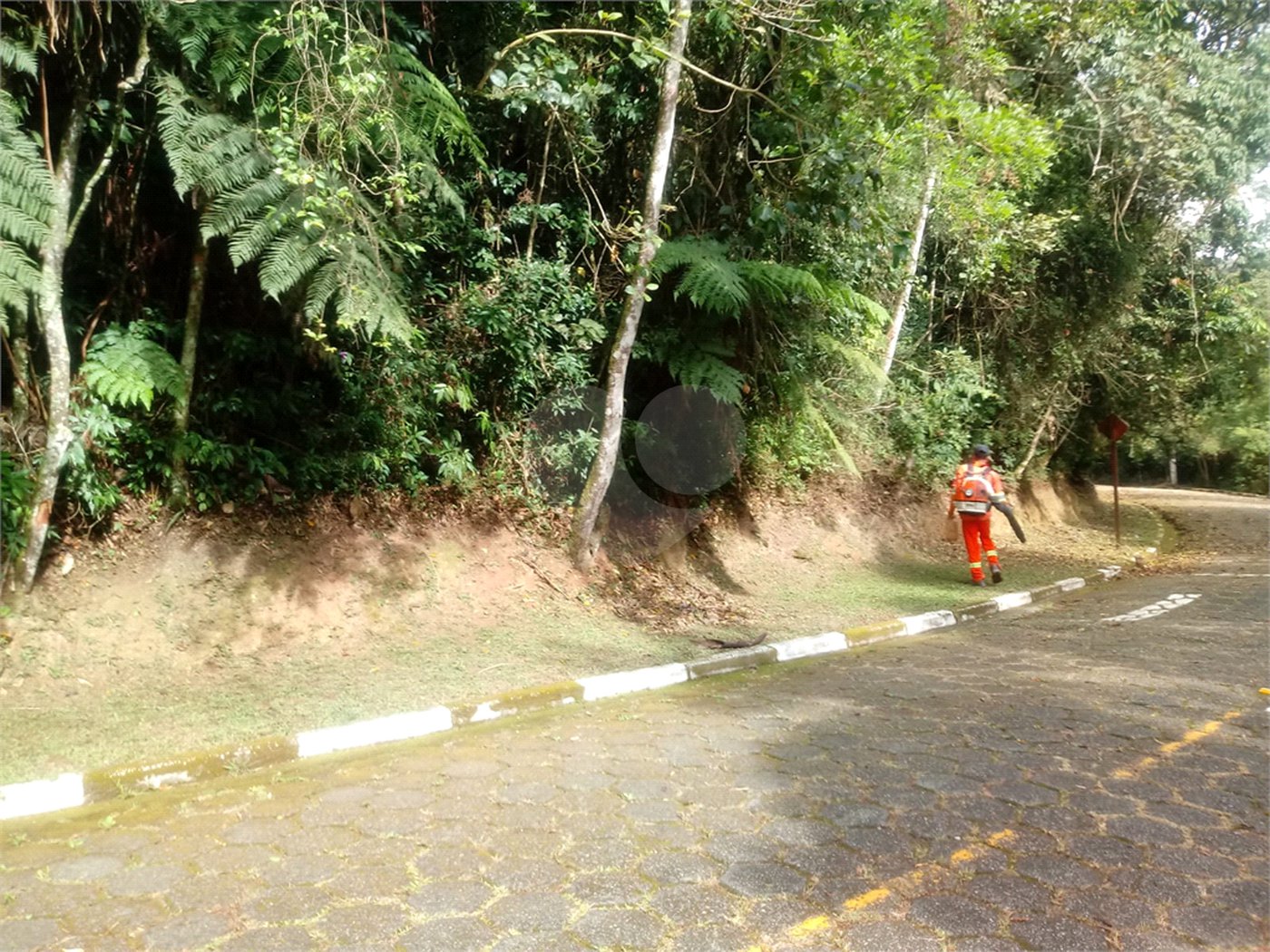 Terreno à venda em Roseira, Mairiporã, SP
