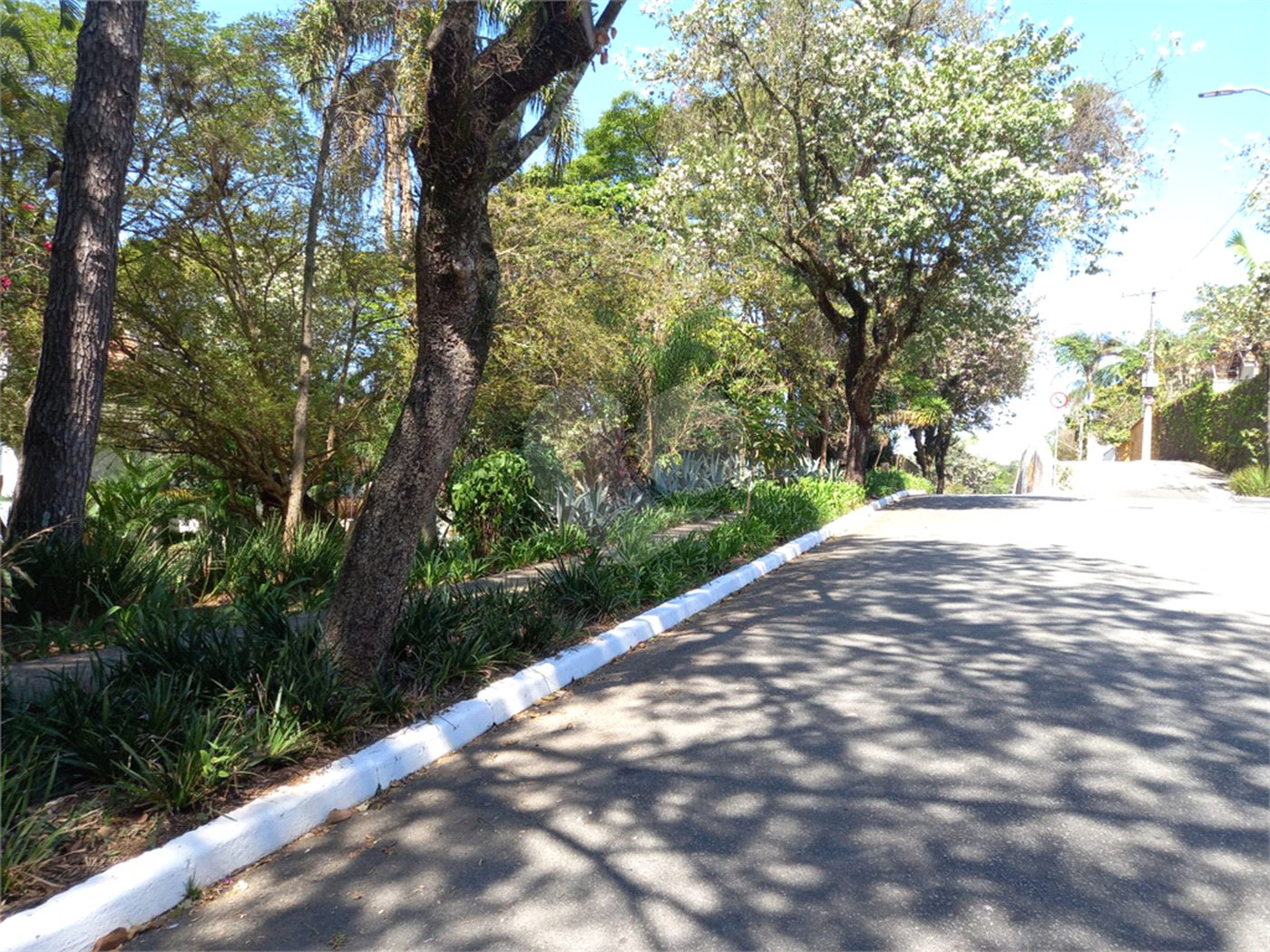 Terreno à venda em Vila Albertina, São Paulo, SP