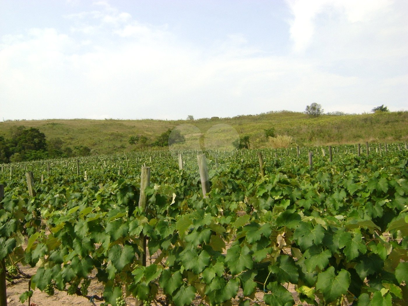 Área de Terra à venda em Colinas do Mosteiro de Itaici, Indaiatuba, SP