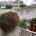 Sobrado à venda com 3 suítes em Jardim do Colégio (zona Norte), São Paulo, SP