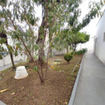 Apartamento à venda ou para alugar com 3 quartos, sendo 1 suíte, em Vila Maria, São Paulo, SP