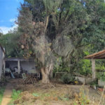 Terreno à venda em Vila Júlia, Poá, SP