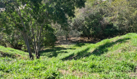 Terreno à venda em Bosque, Vinhedo, SP