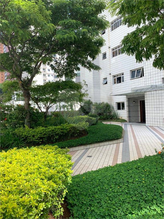 Apartamento à venda com 3 quartos, sendo 1 suíte, em Água Fria, São Paulo, SP