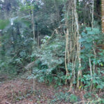 Terreno à venda no condomínio Sausalito, Mairiporã - SP