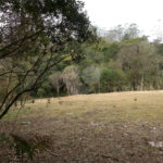 Sítio à venda com 6 quartos no Centro, Mogi das Cruzes, SP