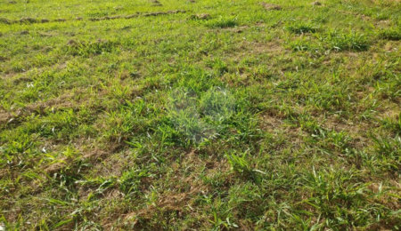Terreno à venda em Loteamento Residencial Una, Itu, SP