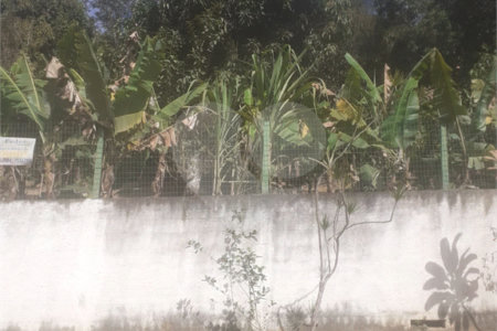 Terreno à venda em Aguazul, Guarulhos, SP
