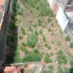 Terreno à venda em Vila Haro, Sorocaba, SP
