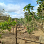 Terreno à venda em São Miguel Arcanjo, SP