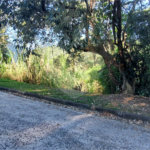 Terreno à venda no condomínio Alpes da Cantareira, Mairiporã - SP