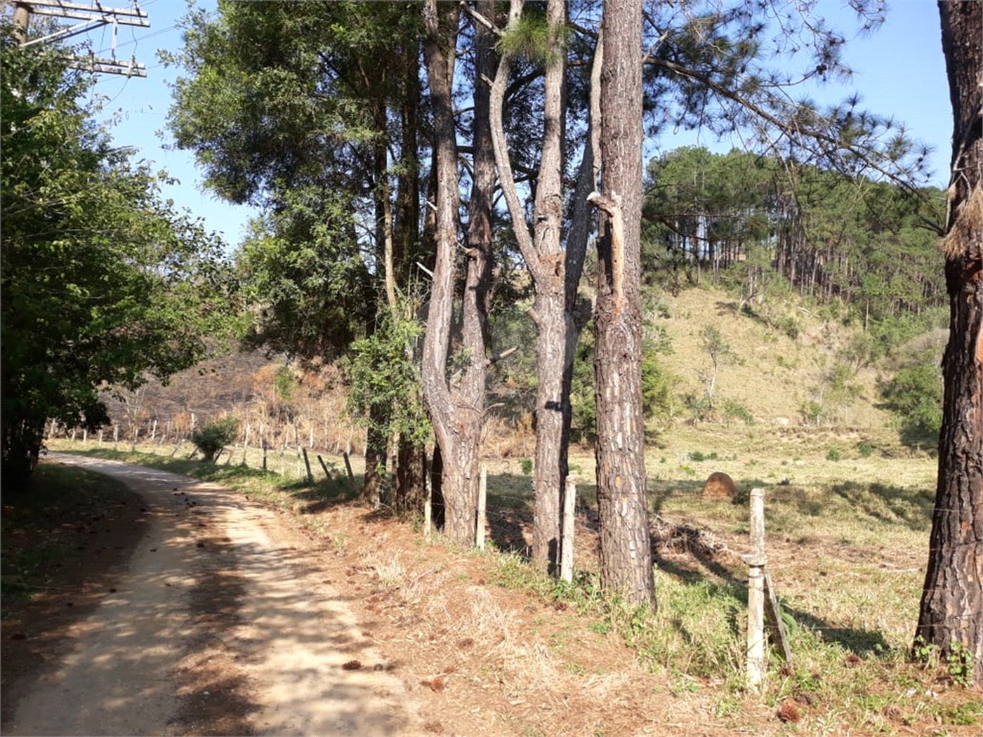 Sítio à venda com 3 quartos em Bairro do Cambará, São Roque, SP