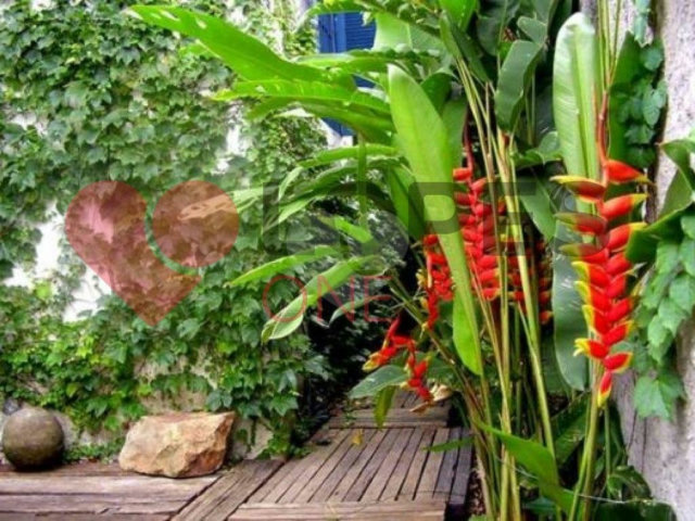 Casa Térrea à venda com 3 quartos em Casa Verde, São Paulo, SP