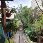 Casa Térrea à venda com 5 quartos, sendo 3 suítes,  em Vila Mazzei, São Paulo, SP