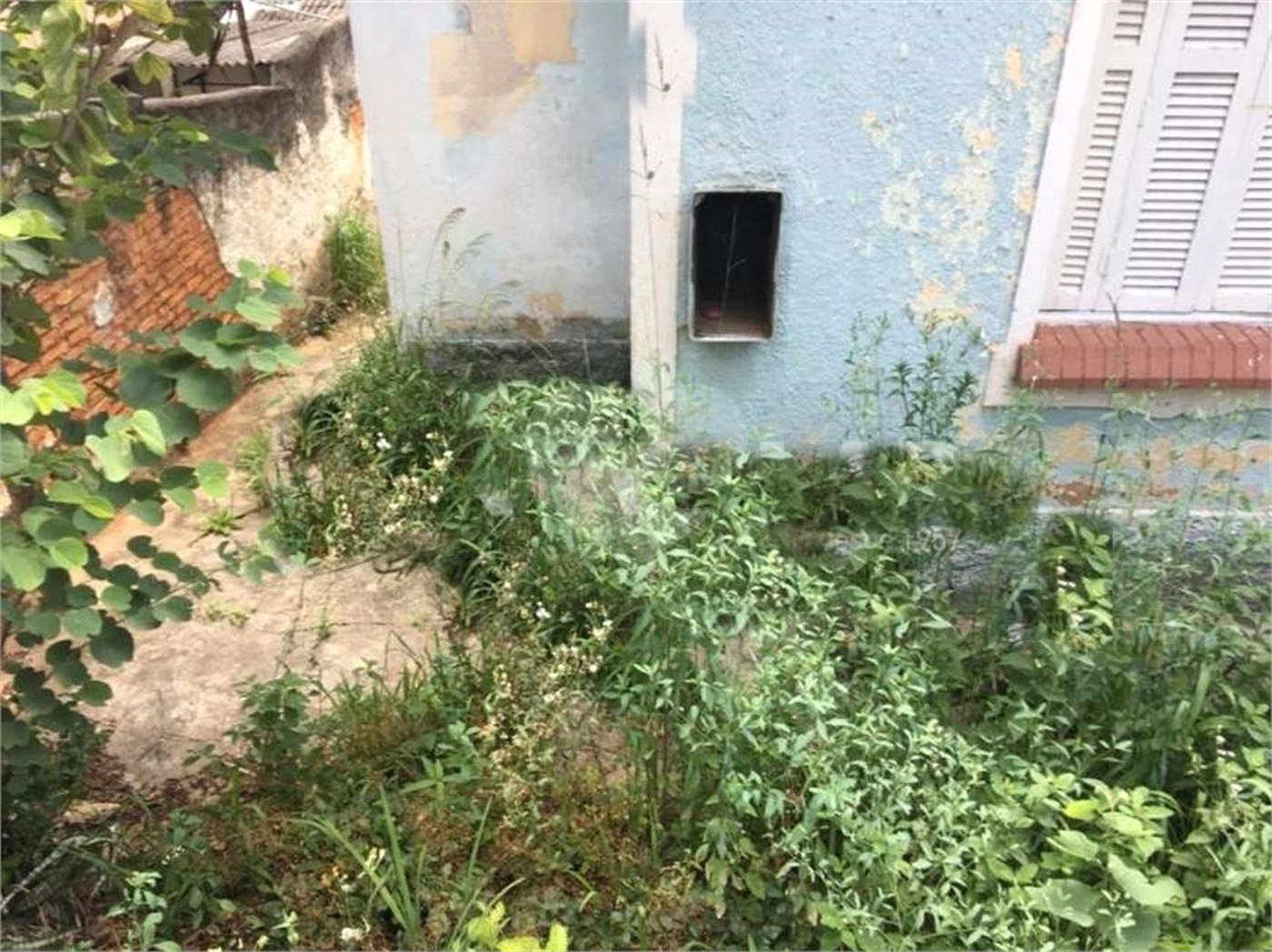 Terreno à venda em Tucuruvi, São Paulo, SP