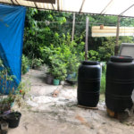 Casa Térrea à venda com 2 quartos em Casa Verde, São Paulo, SP