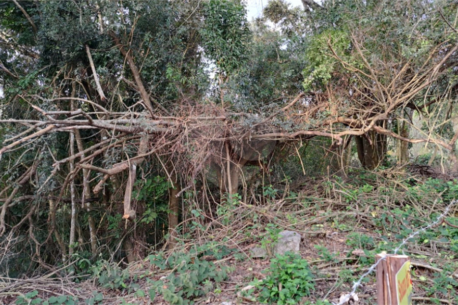 Terreno à venda no condomínio Alpes da Cantareira, Mairiporã - SP