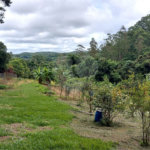 Chácara à venda em Sorocamirim (canguera), São Roque, SP