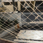 Casa à venda com 3 quartos, sendo 1 suíte, em Imirim, São Paulo, SP