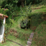 Casa à venda com 4 quartos, sendo 2 suítes,  no condomínio Ypê Branco I, São Paulo - SP