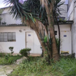 Terreno para alugar em Vila Santa Catarina, São Paulo, SP