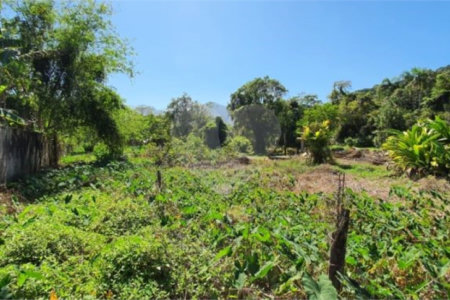 Terreno à venda em Sertão do Camburi, São Sebastião, SP