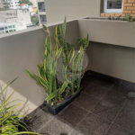 Apartamento à venda com 4 quartos, sendo 3 suítes, em Água Fria, São Paulo, SP