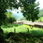 Fazenda à venda com 7 quartos, sendo 3 suítes, em Professor Souza, Casimiro de Abreu, RJ