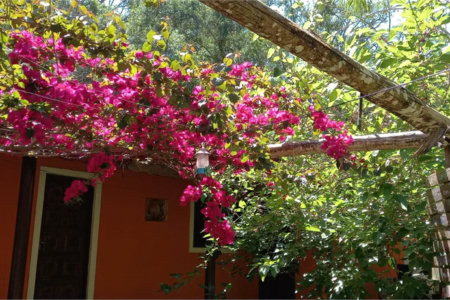 Sítio à venda com 3 quartos em Vila Darcy Penteado (mailasqui), São Roque, SP