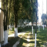 Sítio à venda com 4 quartos, sendo 2 suítes, em Biritiba Ussu, Mogi das Cruzes, SP