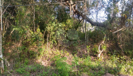 Terreno à venda em Granja Viana, Cotia, SP