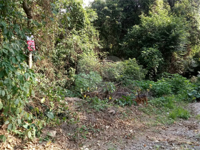Terreno à venda em Serra da Cantareira, Mairiporã, SP