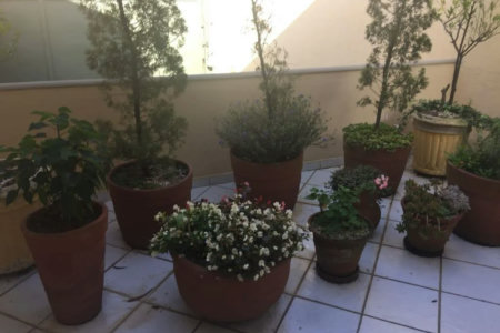 Casa à venda com 5 quartos, sendo 4 suítes, no condomínio Jardim Vitória Régia, São Paulo - SP