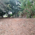 Terreno à venda em Vila Judite, Itapetininga, SP