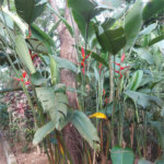 Área de Terra à venda em Éden, Sorocaba, SP