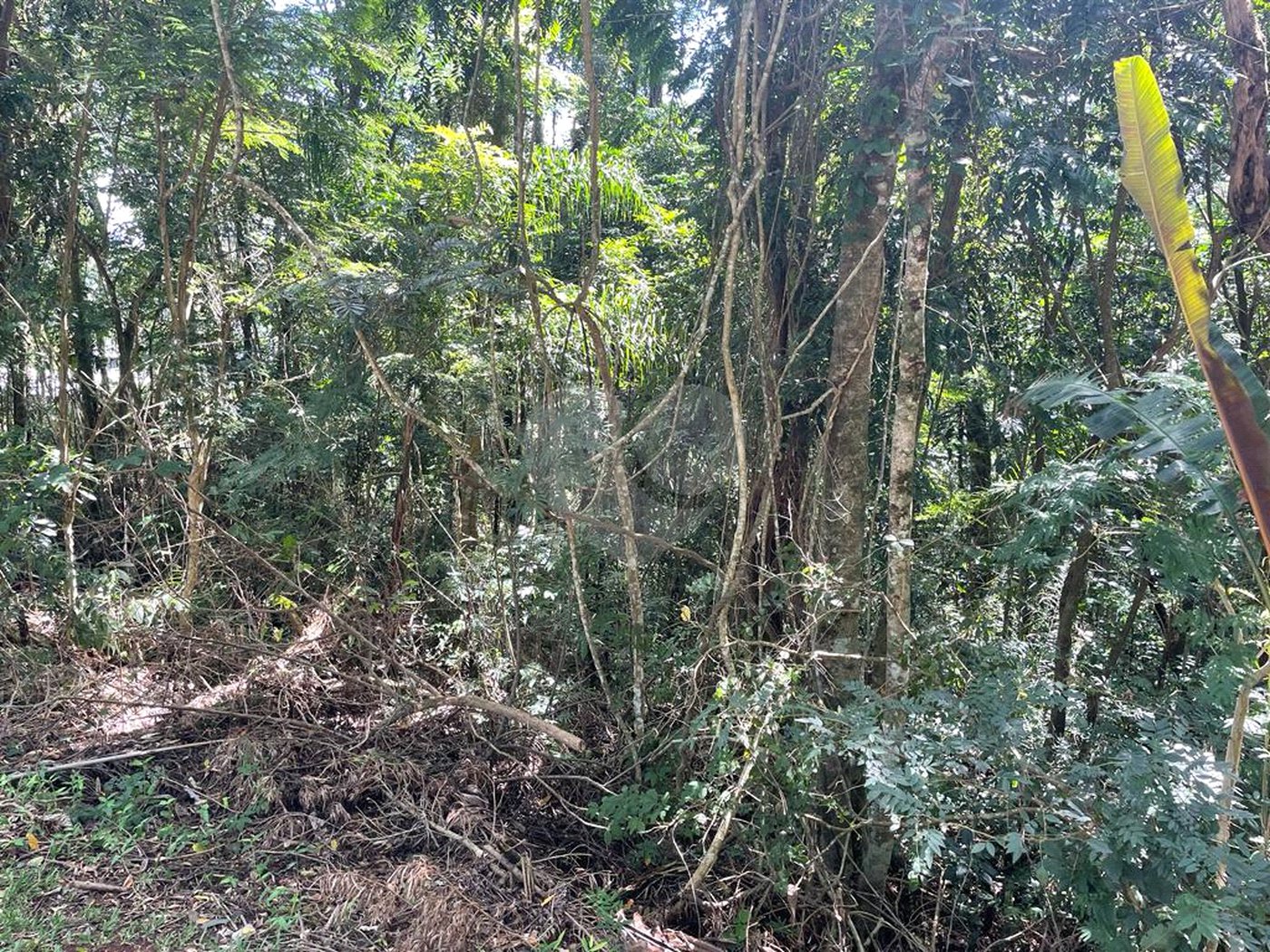 Terreno à venda no condomínio Cantareira, Mairiporã - SP