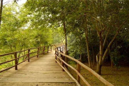 Casa à venda com 3 suítes no condomínio Golden Park Residence, Sorocaba - SP
