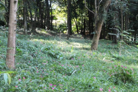 Terreno à venda no condomínio Chácara Flora, São Paulo - SP