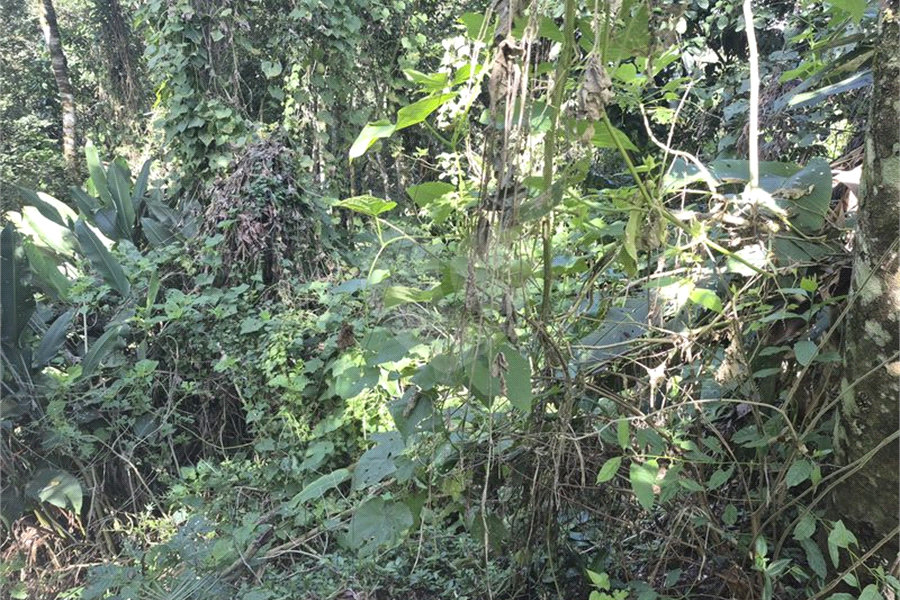 Condomínio à venda em Serra da Cantareira, Mairiporã, SP