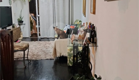 Apartamento à venda com 2 quartos em Santana, São Paulo, SP