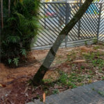 Sobrado à venda ou para alugar com 5 quartos, sendo 1 suíte,  em Vila Ida, São Paulo, SP